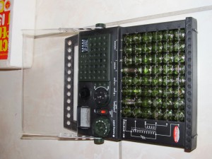 IMG_1115